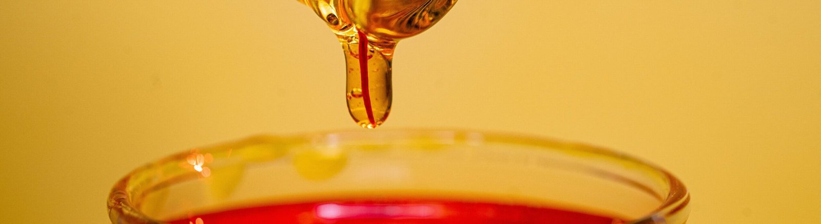 benyamin bohlouli rcj302npzis unsplash